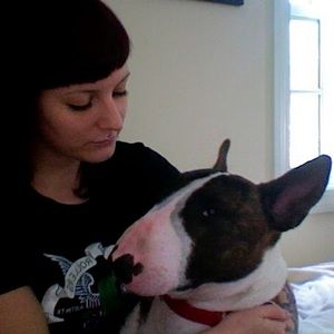 Meet your Posher, Robin